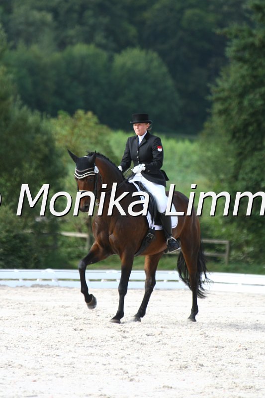 109M9270_Don Emilio_Dressur Mxx_Youngster Cup.JPG